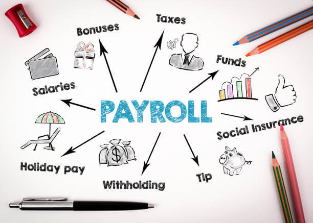 HR and Payroll Management System dashboard for employee management, attendance and payroll
